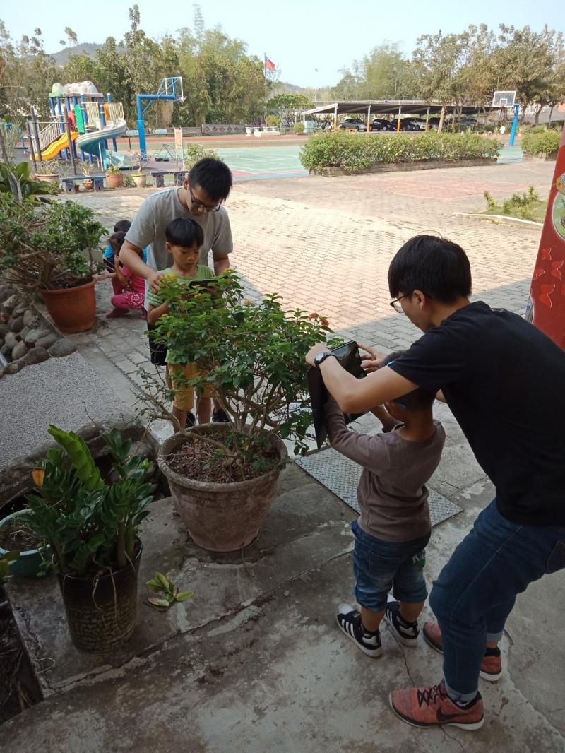 認識校園植物