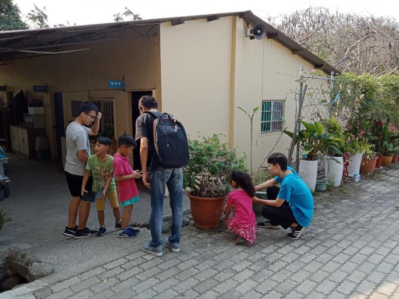 認識校園植物