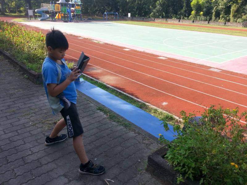 學生運用平板電腦實地拍攝校園蜜源植物(馬櫻丹黃花).