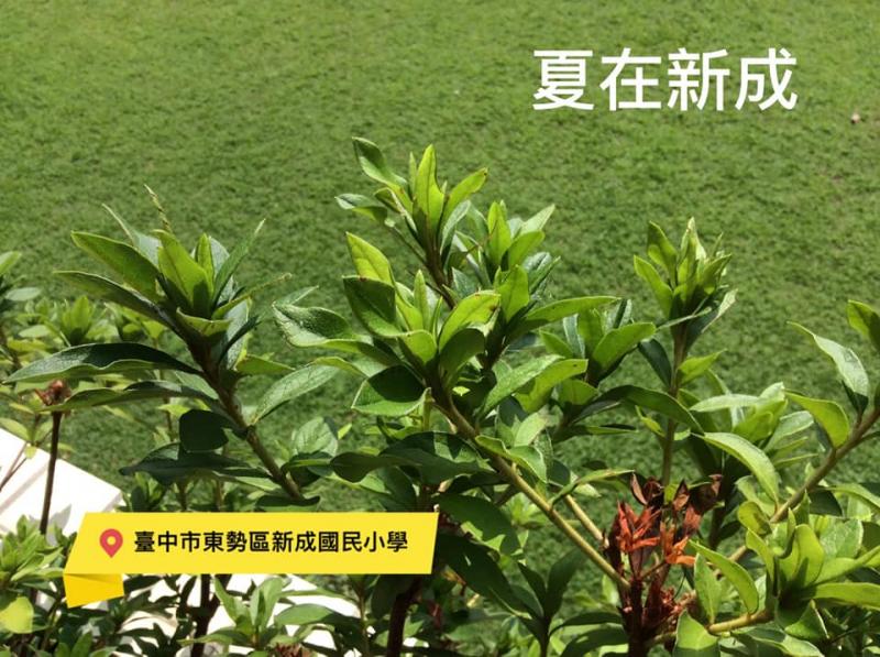學員作品