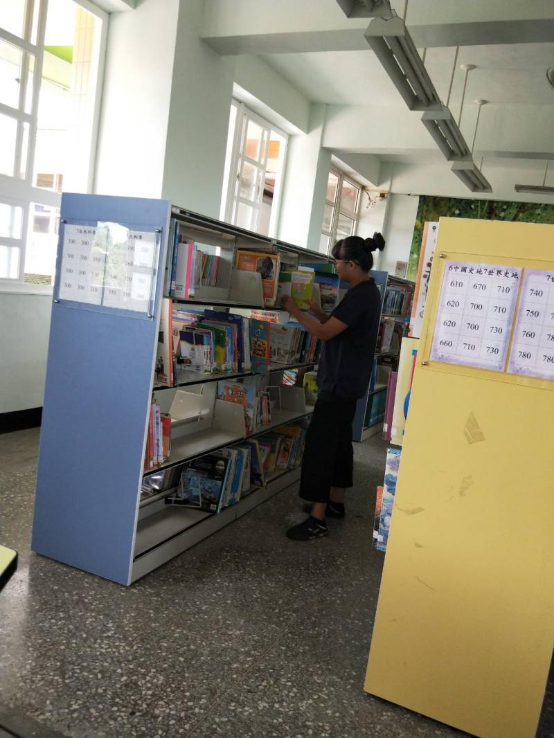 找尋動物條紋相關書籍