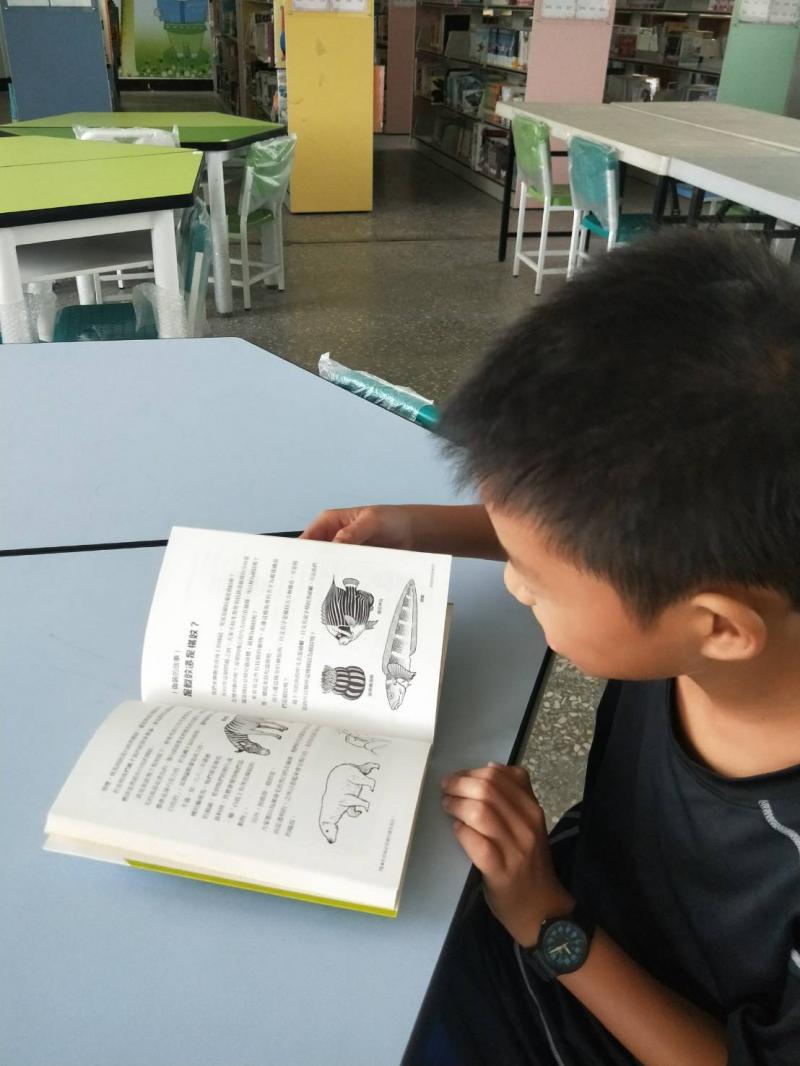 閱讀動物條紋相關書籍