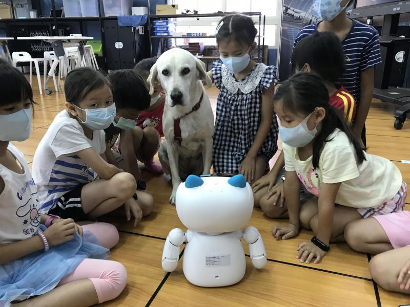 撰寫程式積木