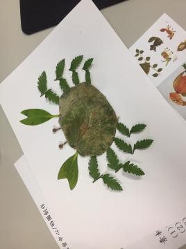學員利用自然素材製作LINE螃蟹貼圖