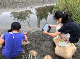 小學員利用平板電腦及數位相機記錄螃蟹生態