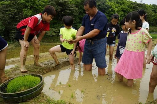 [中央社新聞20170504]大學志工攜手公益組織復育三芝水梯田-封面照