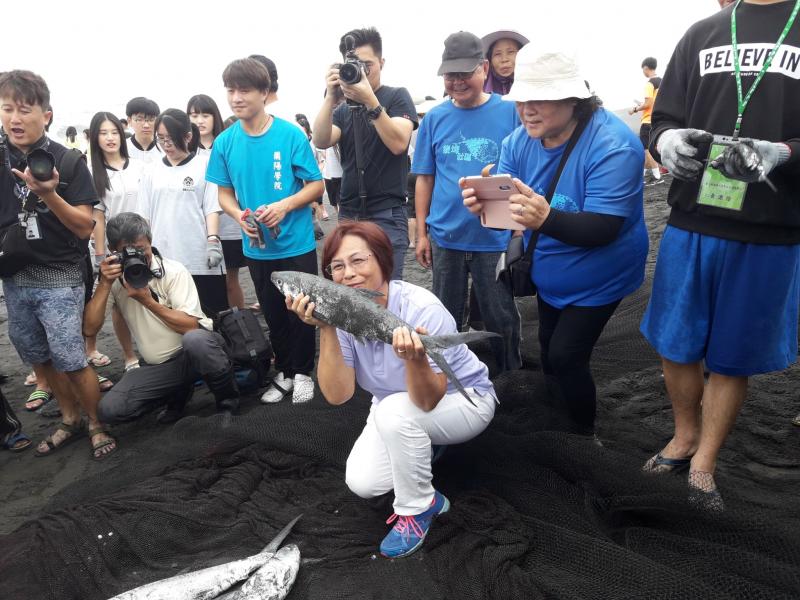 藉由牽罟捕捉到的魚