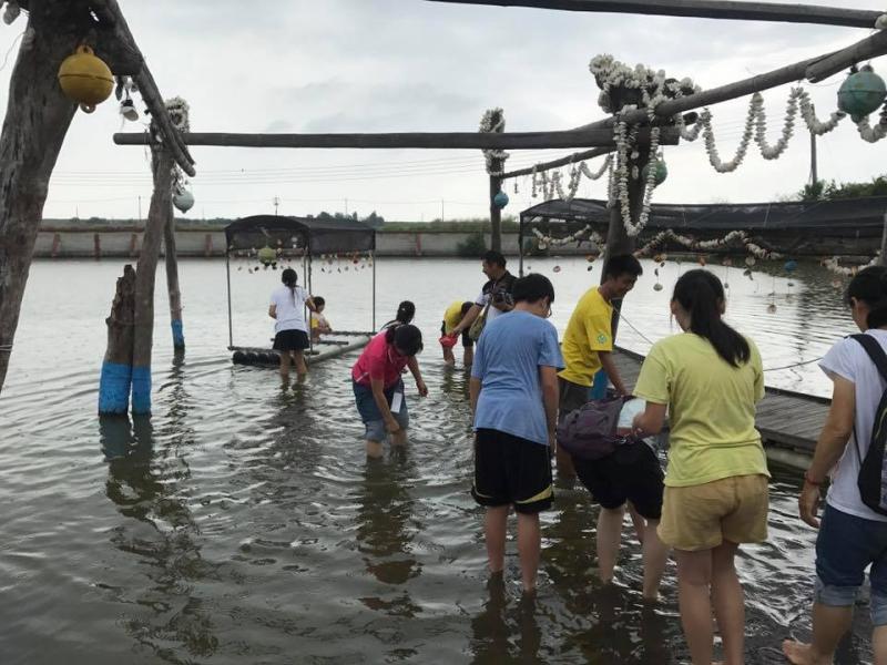 參觀馬蹄蛤活動。