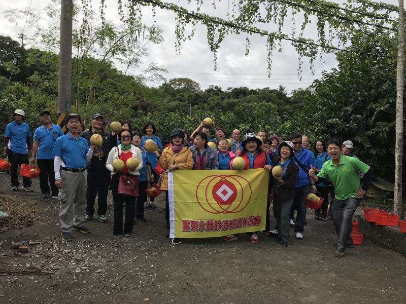 休閒農業體驗活動~柚狂想-封面照