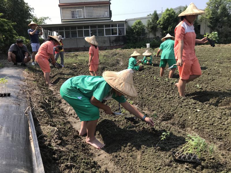 食農教育體驗與推廣