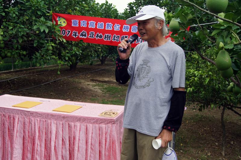 麻豆文旦果樹認養~嘉吉、南仁湖簽約-封面照