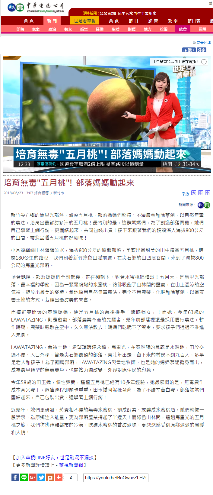 網路上電子新聞報導畫面