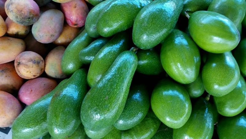 大內酪梨節-封面照