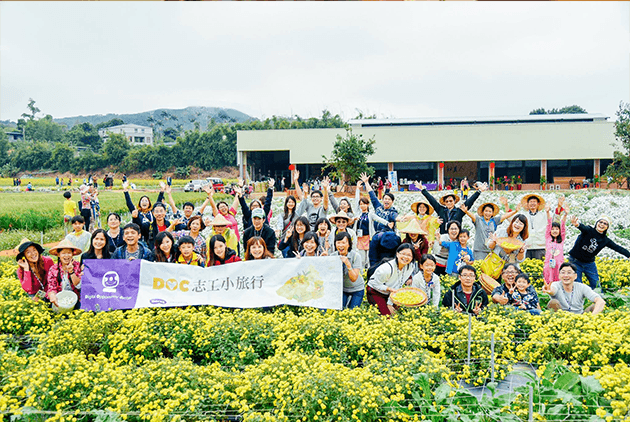 《DOC 志工小旅行》銅鑼杭菊採收勞作，帶領集團員工協力採收杭菊，揮汗勞動體驗中，體會農民辛勞