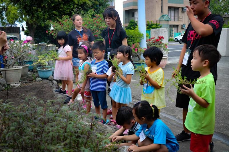 小新星夏季學校低年級學生準備種植