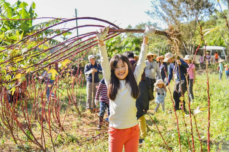 志工揮汗採收豔紅飽滿的洛神花，親手剪枝、去籽，守護純淨田園。
