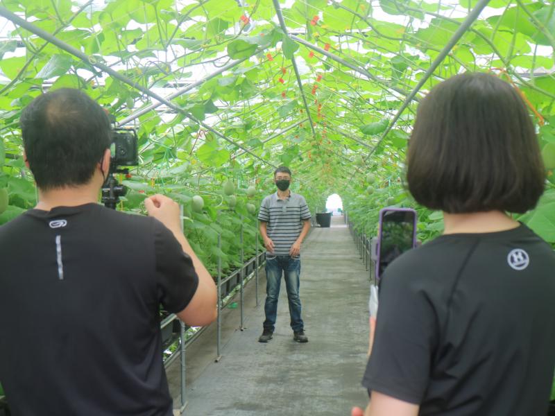 青年返鄉種香瓜  科技傳統相結合-封面照