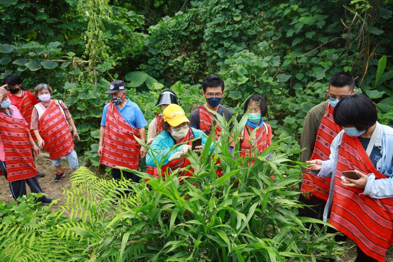 導覽員帶領參與活動學員認識山林植物。