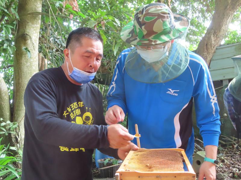挖下新鮮的蜂蜜,可是最新奇的體驗!