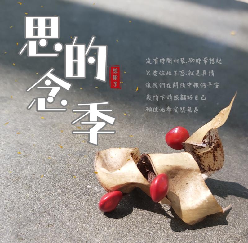 圖文創作第一名