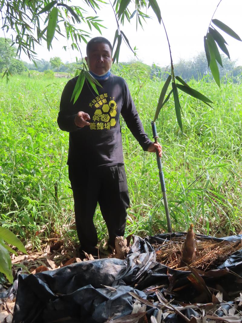 你曾經挖過竹筍嗎?快來體驗!
