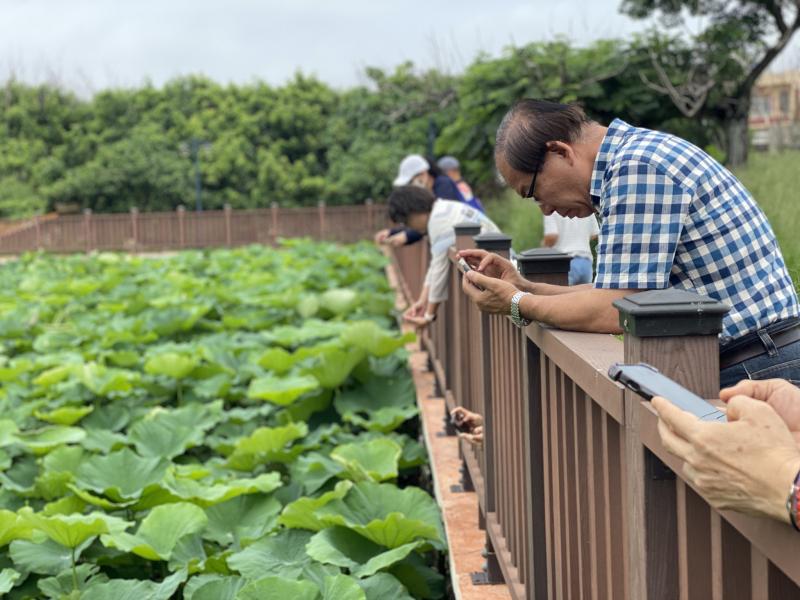 學員們實際練習近中景,和高低角度拍攝蓮花葉和水珠。