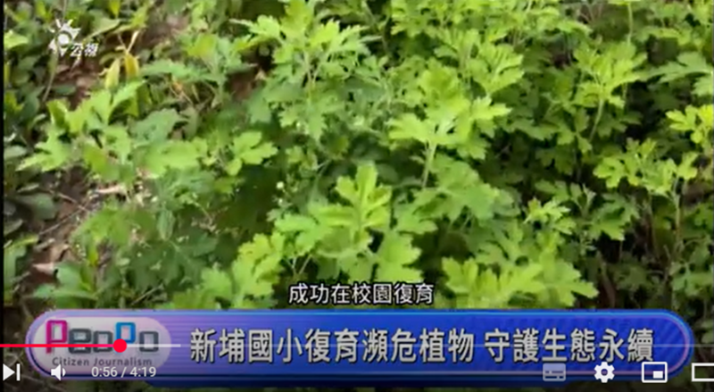 【公視新聞台】通霄DOC公民新聞課登上公視新聞台！-封面照