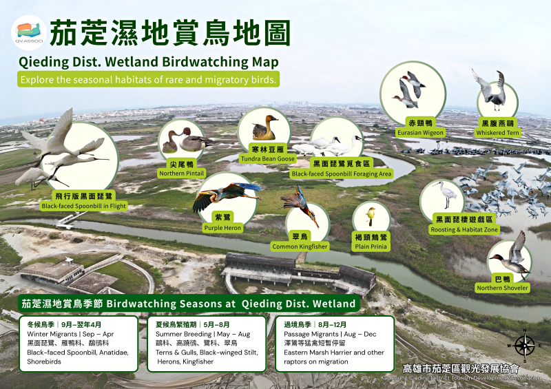 茄萣濕地三折頁背面