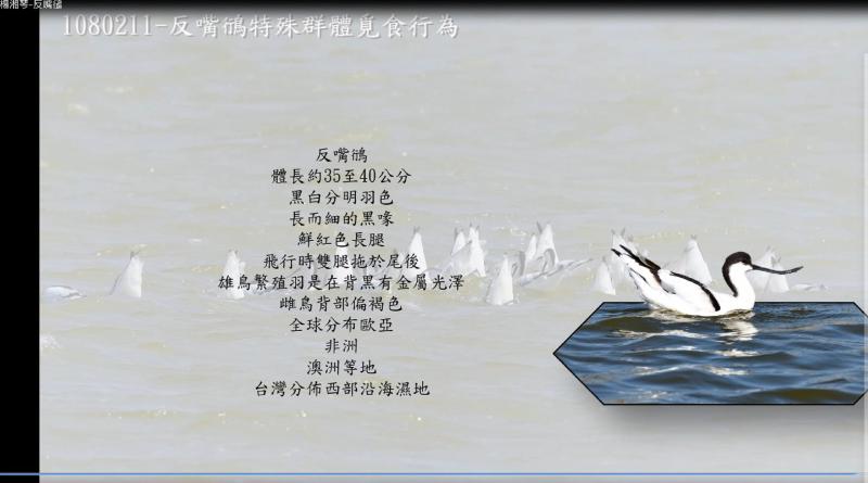 各個學員利用老師所教的步驟與技巧,都能完美呈現屬於各個學員專屬的特色作品。