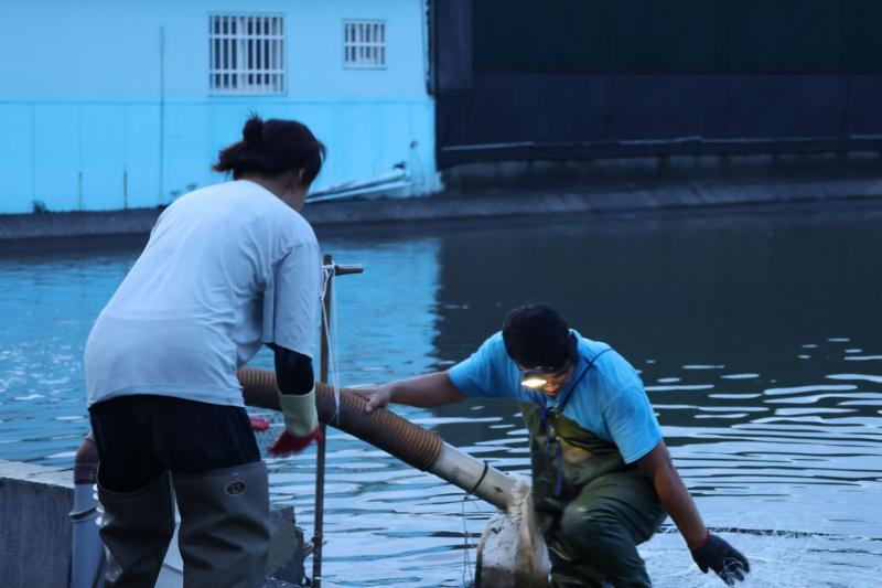 口湖DOC-中華電信「蹲點‧台灣」協助社區紀錄與行銷-封面照