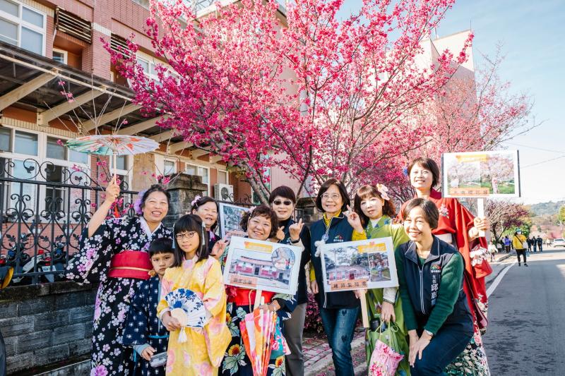 新社櫻花季活動-封面照