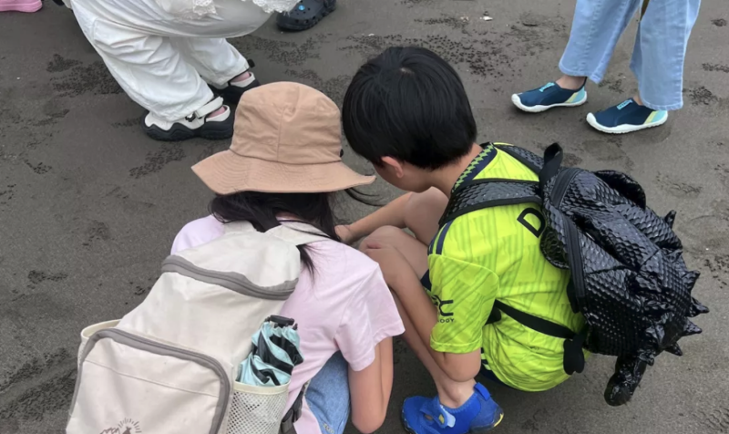 生態導覽體驗