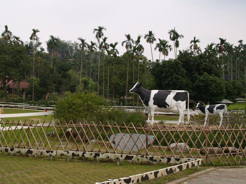中埔鄉旅遊景點-綠盈牧場