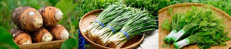 吉安三寶-韭菜、芋頭、龍鬚菜