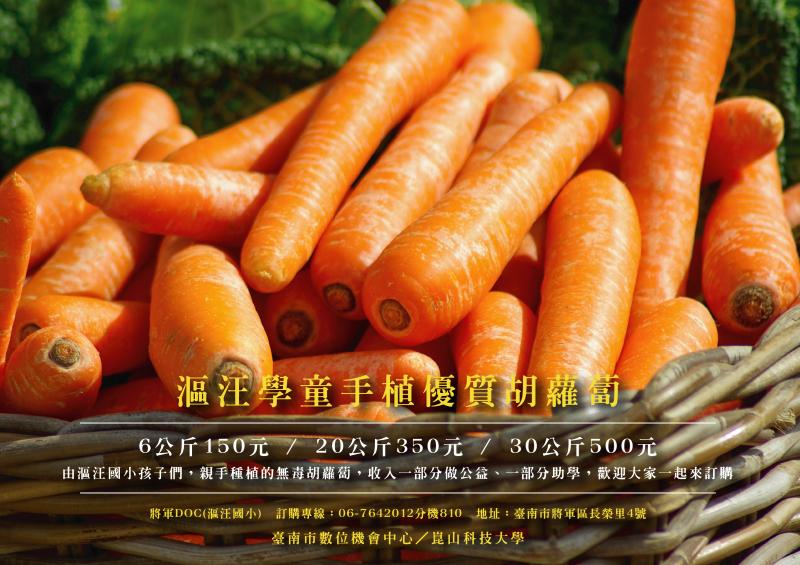 漚汪國小手植優質胡蘿蔔-封面照