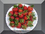 魅力商圈 - 黑面坤草莓園-封面照