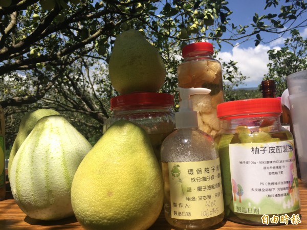 文旦柚樹下DIY   媒體爆導