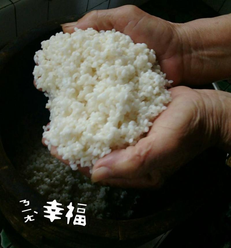 甜酒釀用的米