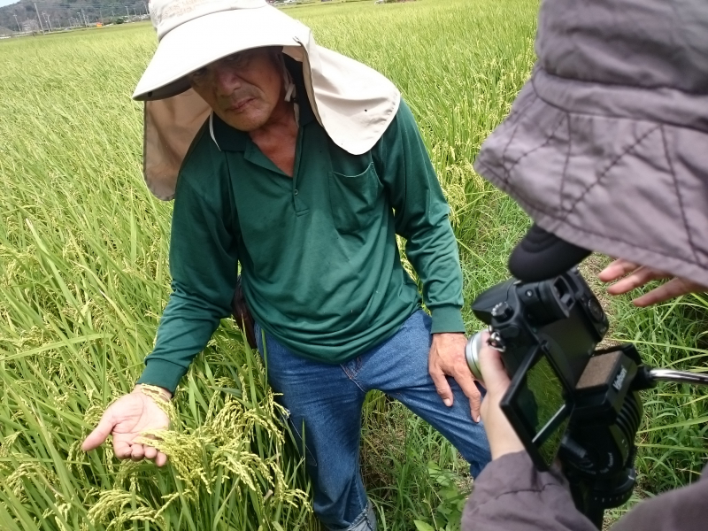 學員利用攝影機拍攝稻米畫面