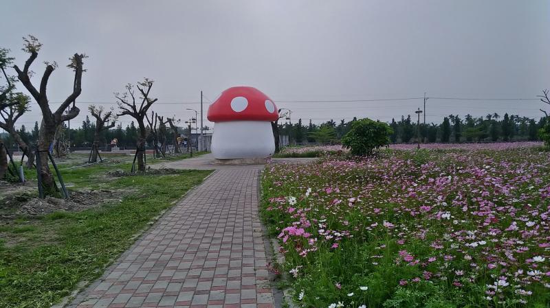 花海公園繽紛奪人