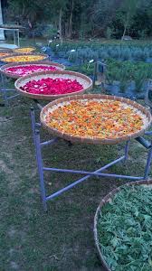 裡面種植了多種植物，自採自曬存手工包裝