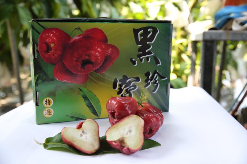叫小賀品牌的蓮霧禮盒