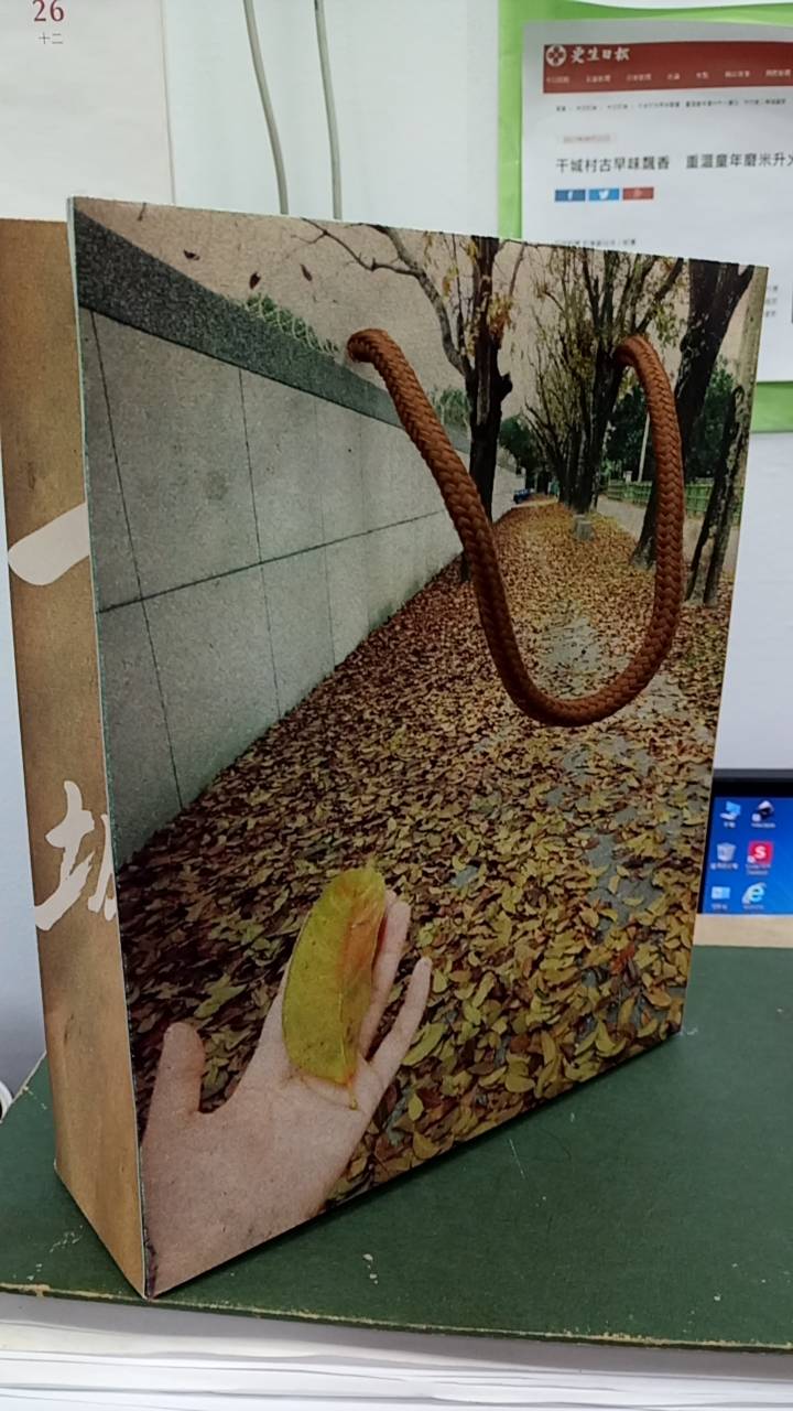 提帶-3