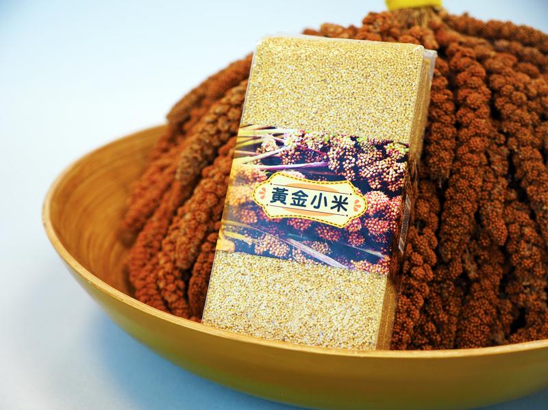 小米從原住民主食到今天大家都愛吃小米粥，真的吃過的都說好吃。