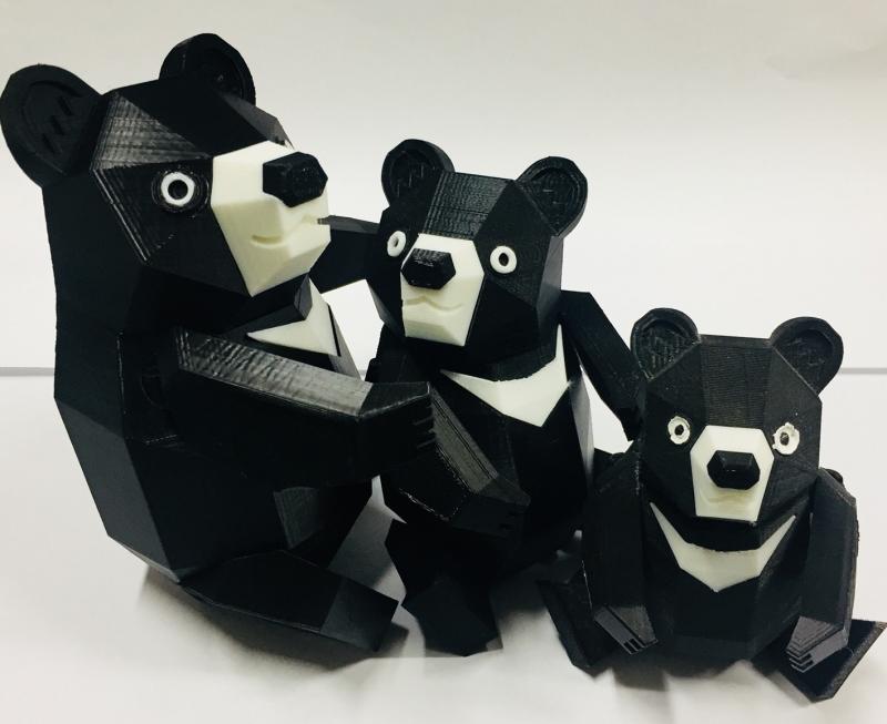 3D列印-台灣黑熊   在太魯閣族傳說中，台灣黑熊是族人所敬畏的「森林之王」