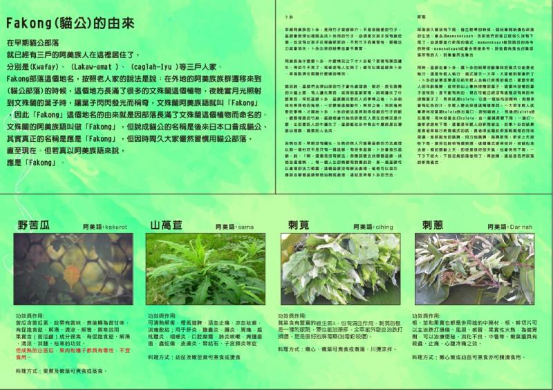 豐濱DOC利用DOC課程資源，規劃生態遊程一套，並記錄在地傳統的飲食文化。