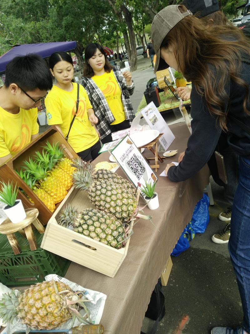 【龍崎DOC】學生志工協助在地農產品推廣-封面照