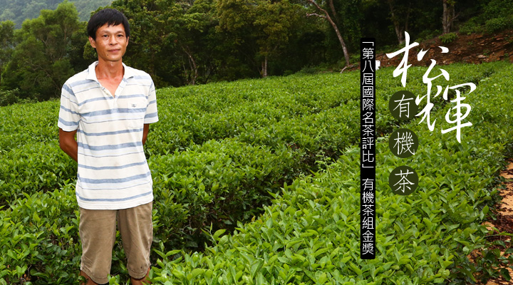 印有松輝有機茶，第八屆國際名茶評比金獎字樣的宣傳照，茶園老板站在茶樹與茶樹之間，帶有自信的微笑著。