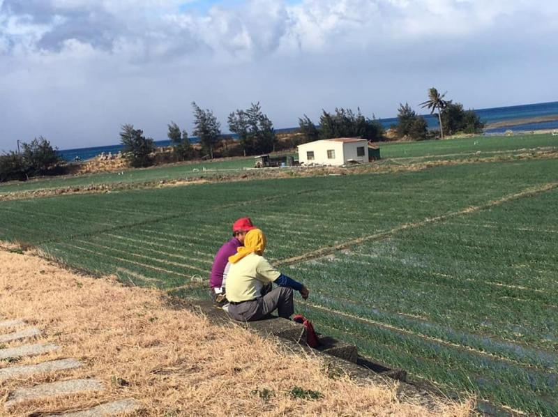 老農傳承,返青共學,創造更多價值,提升生產力