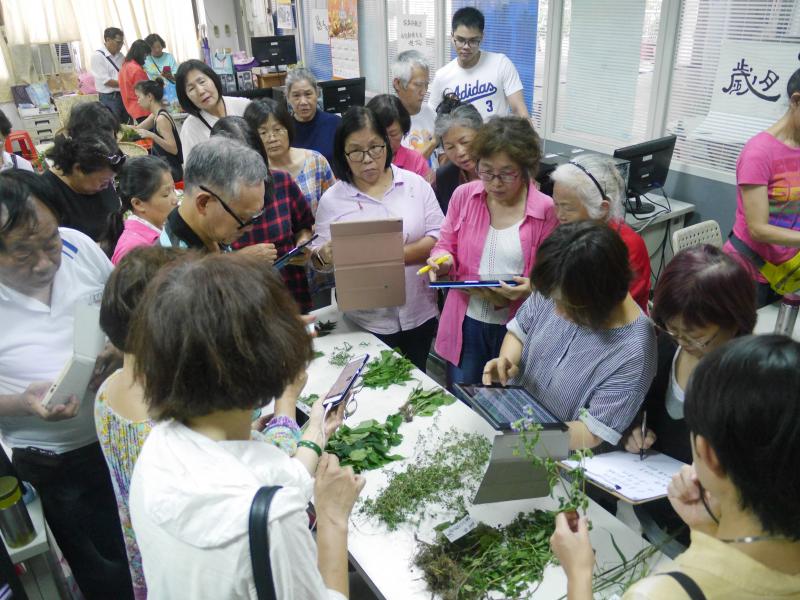 學員一起用數位工具，在老師的引導下學習辨識植物